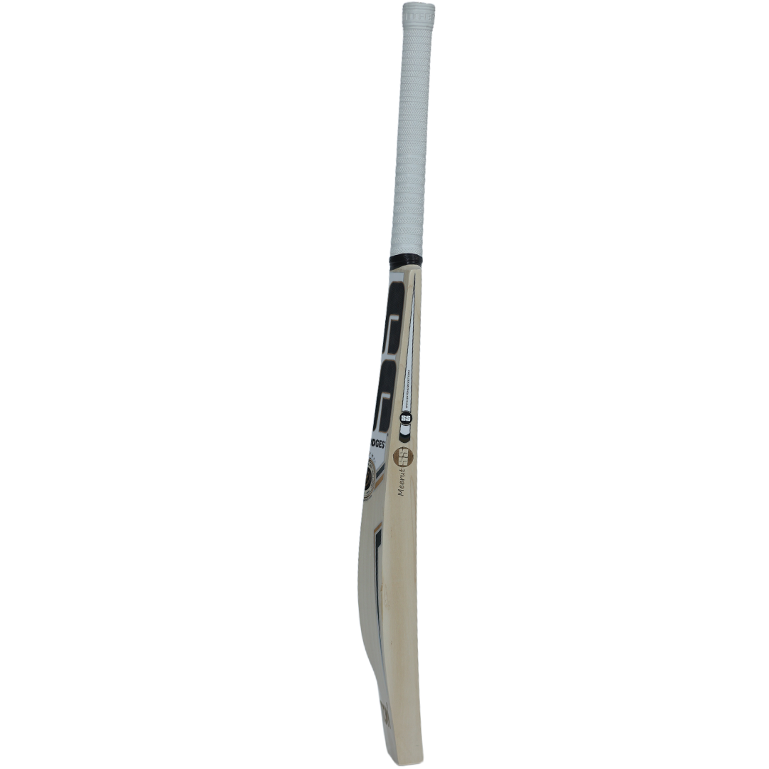 SS TIM DAVID cricket bat , PLAYER ENGLISH WILLOW BAT, edges, profile view
